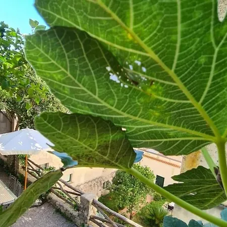 Loft By Amalfivacation 4* アマルフィ